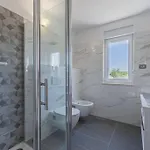 Villa Nonna Novigrad By Istriaselect *